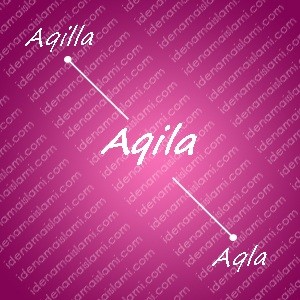 variasi arti nama aqila untuk nama bayi perempuan islami
