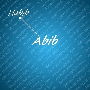 variasi arti nama Abib untuk nama bayi laki laki islami