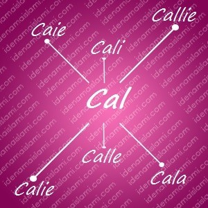variasi arti nama Cal untuk nama bayi perempuan islami