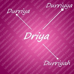 variasi arti nama Driya untuk nama bayi perempuan islami
