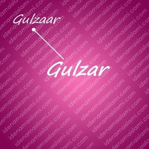 variasi arti nama Gulzar untuk nama bayi perempuan islami