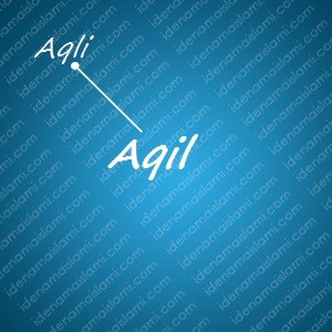variasi arti nama Aqil untuk nama bayi laki laki islami