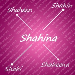 variasi arti nama Shahina untuk nama bayi perempuan islami