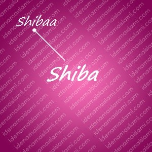 variasi arti nama Shiba untuk nama bayi perempuan islami