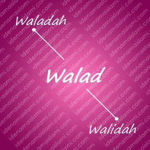 variasi arti nama Walad untuk nama bayi perempuan islami