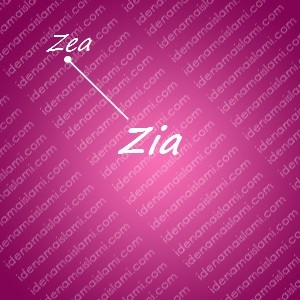 variasi arti nama Zia untuk nama bayi perempuan islami