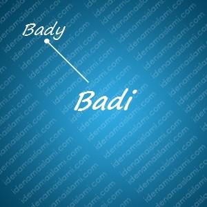 variasi arti nama Badi untuk nama bayi laki laki islami