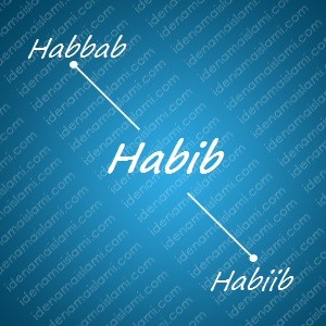 variasi arti nama Habib untuk nama bayi laki laki islami