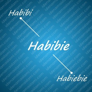 variasi arti nama Habibie untuk nama bayi laki laki islami