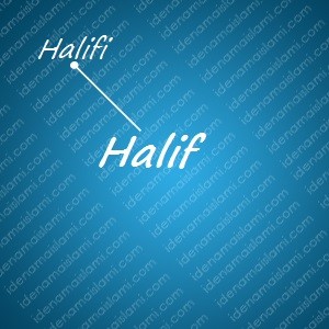 variasi arti nama Halif untuk nama bayi laki laki islami