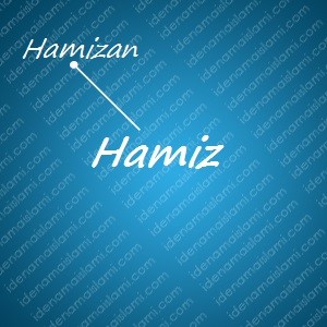 variasi arti nama Hamiz untuk nama bayi laki laki islami