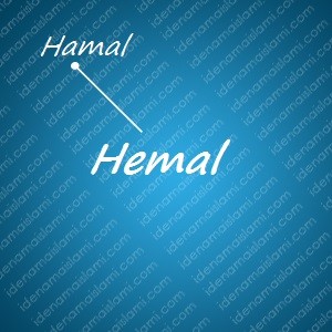 variasi arti nama Hemal untuk nama bayi laki laki islami