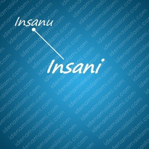 variasi arti nama Insani untuk nama bayi laki laki islami
