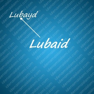 variasi arti nama Lubaid untuk nama bayi laki laki islami