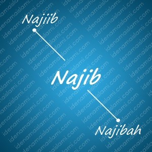 variasi arti nama Najib untuk nama bayi laki laki islami