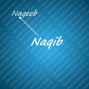 variasi arti nama Naqib untuk nama bayi laki laki islami