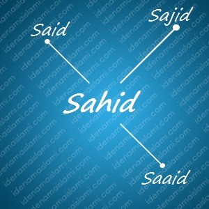 variasi arti nama Sahid untuk nama bayi laki laki islami
