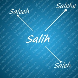 variasi arti nama Salih untuk nama bayi laki laki islami