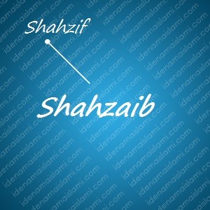 variasi arti nama Shahzaib untuk nama bayi laki laki islami