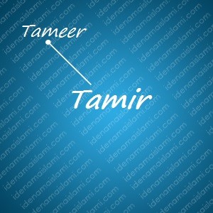 variasi arti nama Tamir untuk nama bayi laki laki islami