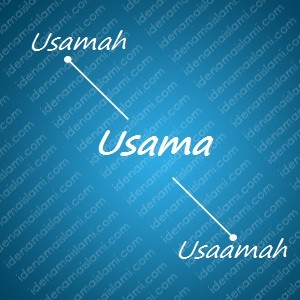 variasi arti nama Usama untuk nama bayi laki laki islami