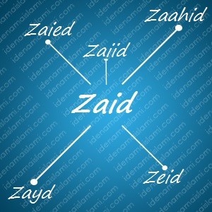 variasi arti nama Zaid untuk nama bayi laki laki islami