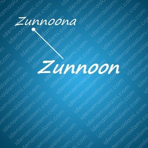 variasi arti nama Zunnoon untuk nama bayi laki laki islami